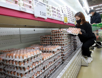 설 앞두고 먹거리 물가 불안…계란 가격 한달 새 15% 급등