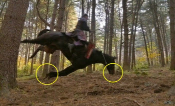 `촬영 중 馬 사망` KBS 사극 제작진, 벌금 1000만원