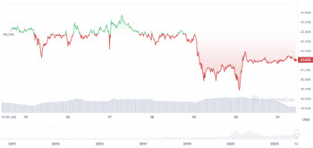 ETF 승인에도 힘 못쓰는 비트코인…열흘새 15%↓