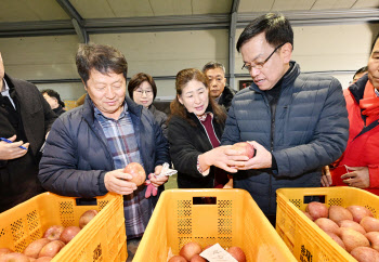 사과·배 챙긴 기재·농림부 장관…“농축산물 할인예산 100억 추가배정”