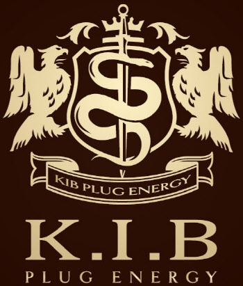 KIB플러그에너지, 주가 급락에…“최대주주, 책임경영 강화”