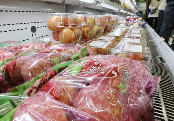 과일 가격 강세에…연초 식료품 물가 6.7%↑, 3년만의 최고치