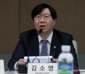 김소영 "ELS 등 고난도 상품 규제 실효성 높이는 방안 검토"