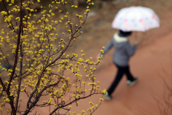 낮 기온 20도 내외 '포근'…남부엔 봄비