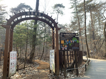 국립수목원, 광릉숲 정원벨트 비밀의 숲 '오솔길' 개방