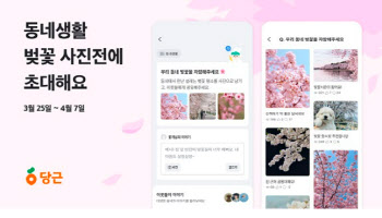 ‘동네생활’ 북적북적…당근, ‘동네 벚꽃 사진전’