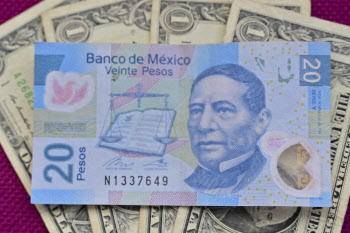 멕시코 페소화 가치, 미국 달러화 대비 2015년 이후 최고