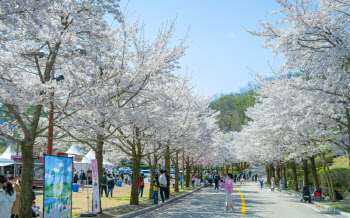 소노인터내셔널, 비발디파크 '2024 봄봄축제' 개최