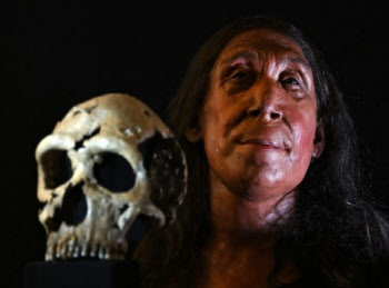 ‘뼛조각 200개’ 맞췄더니 나타난 얼굴…7만5000년 전의 ‘이 여성’