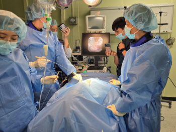 더블유에스아이, 국내 첫 ‘반려동물용 척추수술 내시경’ 개발