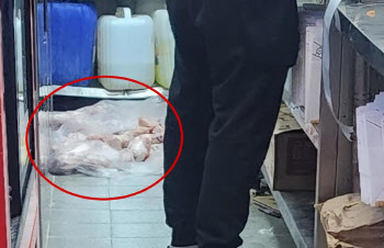 "생닭 매장 바닥에 널브러져"…유명 치킨점 위생 상태 ‘경악’