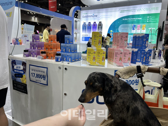 박셀바이오, 반려동물 면역기능보조제 ‘골드뮨’ 신제품 출시