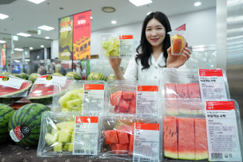 ‘조각·미니 수박’ 인기…롯데마트, 소용량 과일 상품 확대
