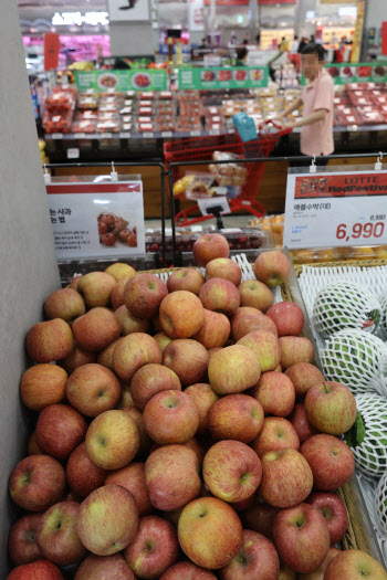 "사과·배 가격 상승 없을것" 농식품부, 수입 과일 할당관세 9월까지 연장