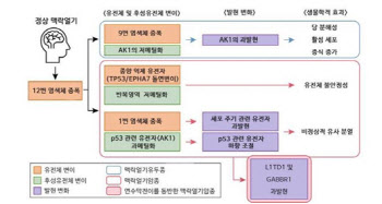 서울대병원, 소아 뇌종양 ‘맥락얼기종양’ 유전자 특성 규명