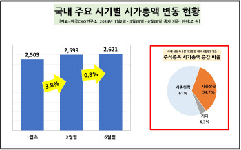 ‘대장주’가 2Q 시총 22조 올렸지만…10곳 중 6곳 하락