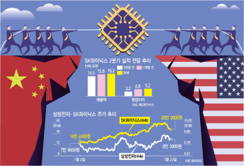 오르긴 올랐는데 더 갈 수 있을까…혼돈의 반도체株