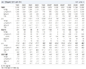 한화솔루션, 태양광 업황 회복 지연…목표가 하향-NH