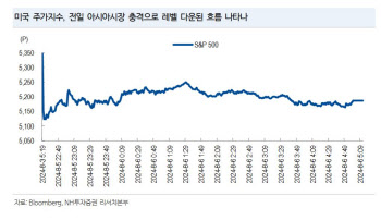 "美 증시 경계심리에 변동성 확대…경기소비재 기업 실적 관건"