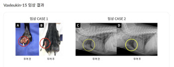 박셀바이오, 반려견 전용 면역항암제 ‘박스루킨-15’ 품목허가