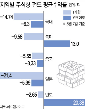 출렁이는 글로벌 속 인도 펀드에는 돈 몰린다고?