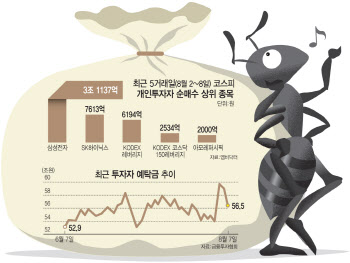 급락은 곧 기회? 증시에 군침 흘리는 개미들