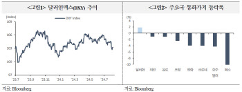 국금센터 "달러 약세 여건 조성…美 대선 영향 변동성 유의"