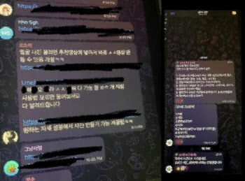 "딥페이크 성범죄영상 소지·시청도 처벌"…野한정애·김한규, 발의