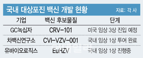 노인용 백신, 항노화 시장 '게임체인저'되나[불로장생이 뜬다-면역①]