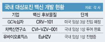 노인용 백신, 항노화 시장 '게임체인저'되나[불로장생이 뜬다-면역①]