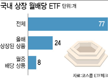 13조 넘어선 월배당 ETF…틈새전략 ‘월중배당’ 확산