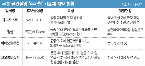 11조 시장, 세계 최초 골관절염 근본 치료제 타이틀 유력한 기업은