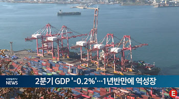 2분기 GDP '-0.2%'...1년반 만에 역성장