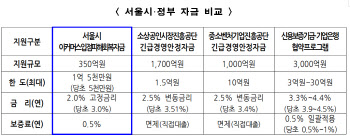 '융자액↑·금리↓'…서울시, 티메프 피해 소상공인 확대 지원