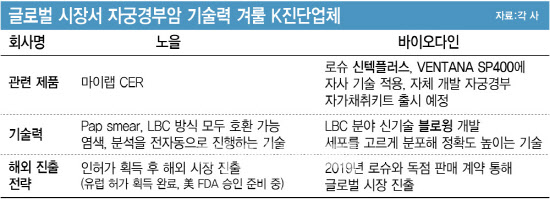 자궁경부암 진단 글로벌 한판승부, ‘노을 vs 바이오다인’[용호상박 K바이오]