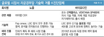 자궁경부암 진단 글로벌 한판승부, ‘노을 vs 바이오다인’[용호상박 K바이오]