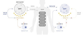 [임상 업데이트] 메드팩토 “백토서팁-임핀지 병용, mOS 2.5배 향상”