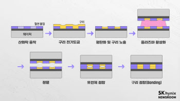 SK하이닉스 독주 언제까지…HBM4 20단부터 하이브리드본딩