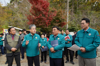 올해가 재선충병 확산 방지 골든타임…정부·지자체 사활