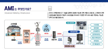 국내 2005만호 지능형 전기 계량기 보급 완료…한전 “신사업 창출 모색”