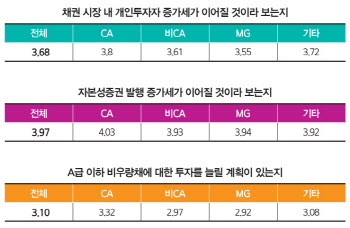 늘어나는 자본성증권 명과 암