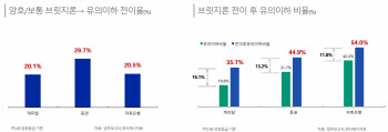 “비은행권, PF 구조조정·자영업 대출 부실 위험…성장 둔화 불가피”