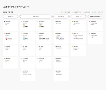 3상 관문 넘은 통풍 신약...LG화학 세계 유일 근원치료제로 10조시장 정조준