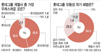 "롯데그룹 가장 걱정인 계열사는 케미칼과 건설"