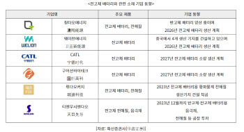 '게임체인저 못 놓쳐'…中, 전고체 배터리 거센 추격