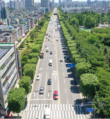 인천 부평구 양버즘나무길, 특화가로 조성 최우수 선정