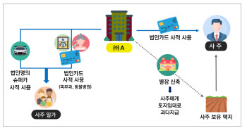 190억짜리 해외 빌라 사고, 자녀에 ‘알짜 일감’…37개사 세무조사