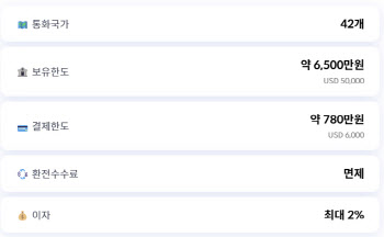 예금자보호 '5000만→1억원'…'트래블카드' 판도 흔들까