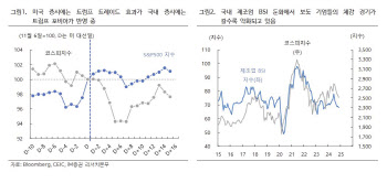 "'트럼프 포비아'가 코스피 지배…증시 단기 회복 쉽지 않을 것"