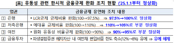 은행 유동성커버리지비율 내년부터 100%로 정상화